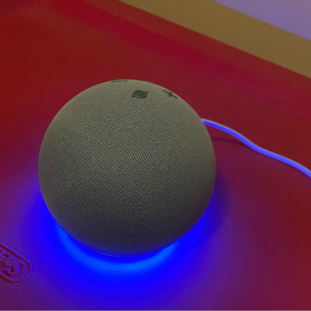 Echo Portable Speaker Gray and Blue LED Light